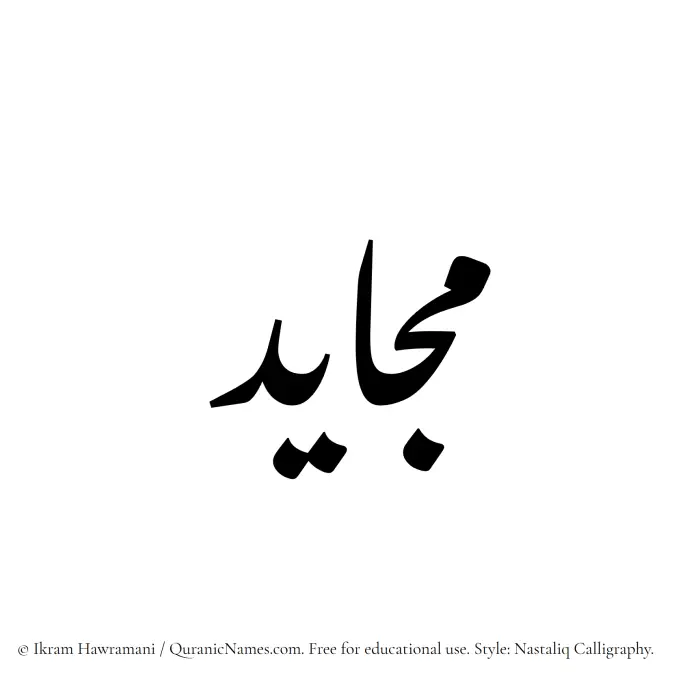 The Muslim name word Mujayed written in Nastaliq calligraphic script