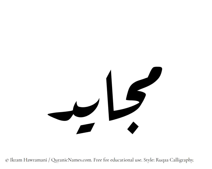 The Muslim name Mujayed written in Ruqaa calligraphic script