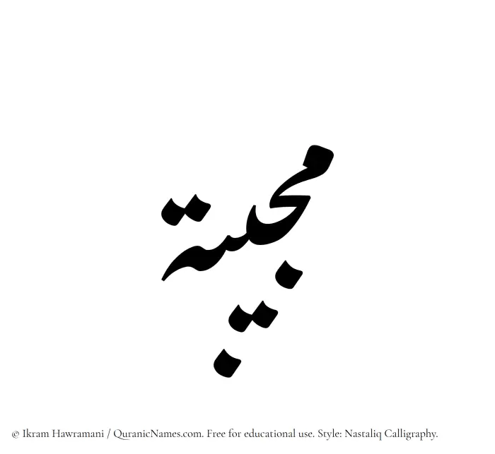 The Muslim name word Mujiba written in Nastaliq calligraphic script