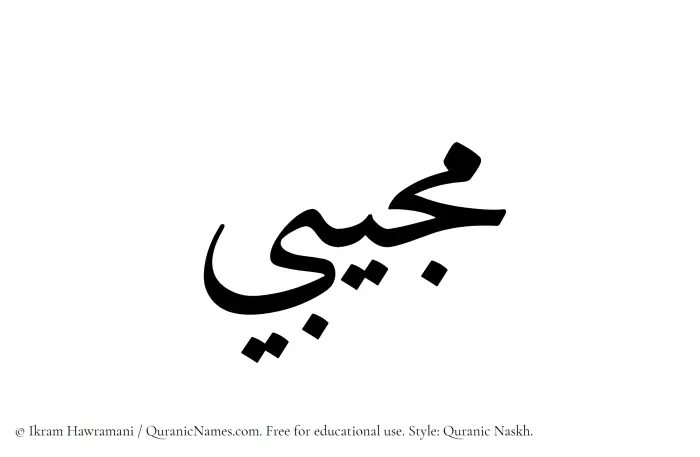 The Muslim name Mujibi written in Quranic naskh script
