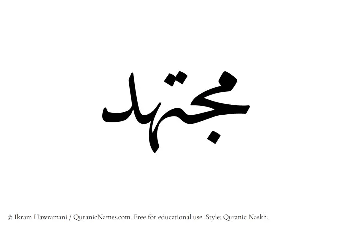 The Muslim name Mujtahid written in Quranic naskh script