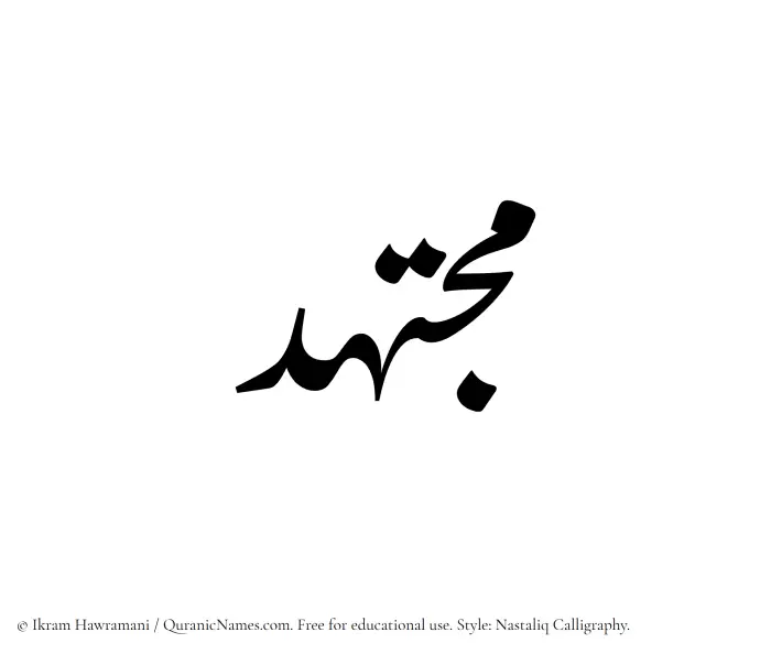 The Muslim name word Mujtahid written in Nastaliq calligraphic script