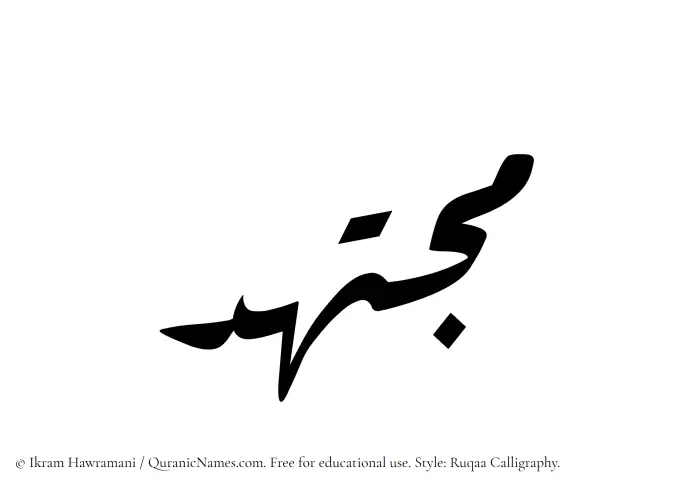 The Muslim name Mujtahid written in Ruqaa calligraphic script