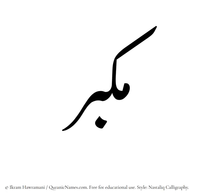 The Muslim name word Mukabbir written in Nastaliq calligraphic script