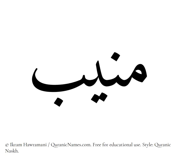 The Muslim name Muneeb written in Quranic naskh script