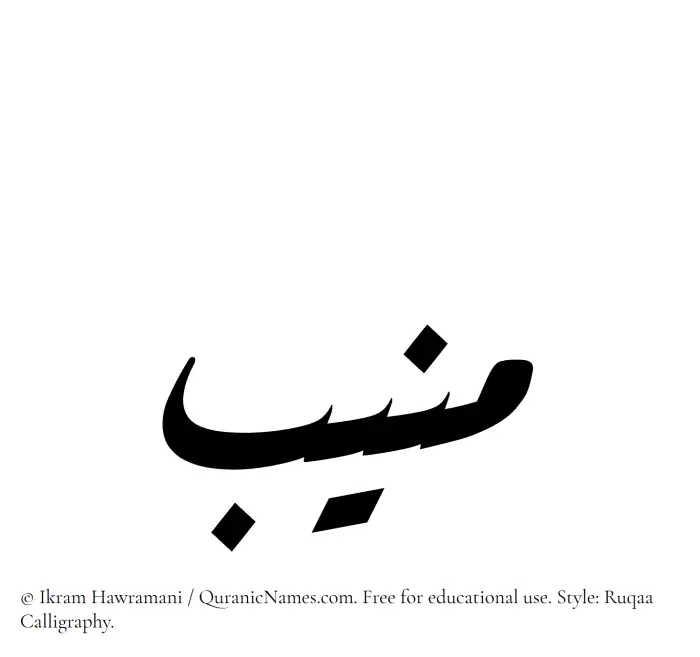The Muslim name Muneeb written in Ruqaa calligraphic script