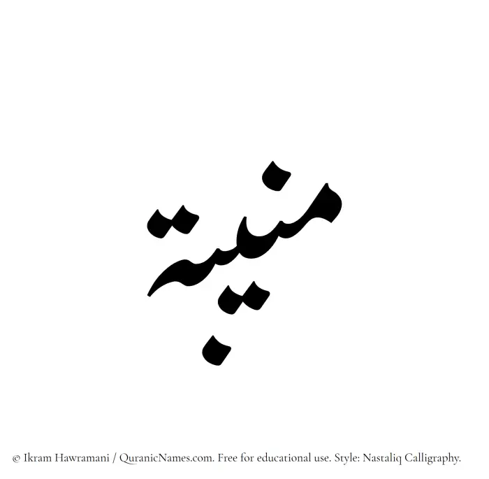 The Muslim name word Muneeba written in Nastaliq calligraphic script