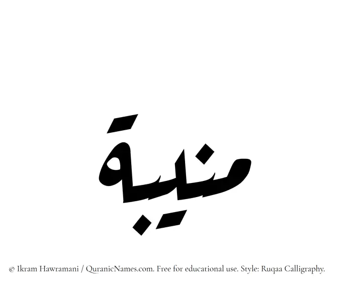 The Muslim name Muneeba written in Ruqaa calligraphic script
