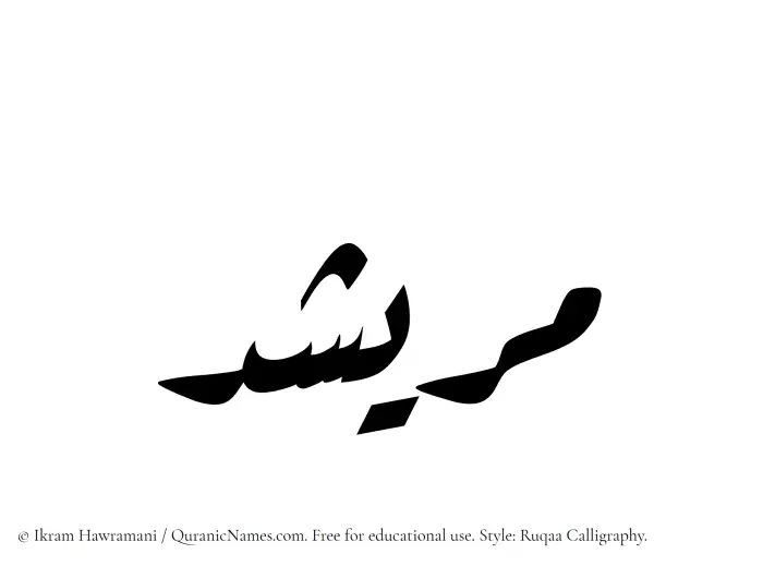 The Muslim name Muraishid written in Ruqaa calligraphic script
