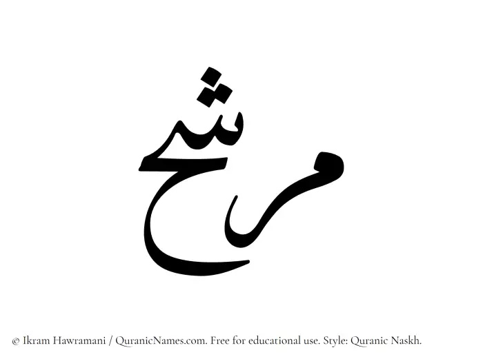 The Muslim name Murashih written in Quranic naskh script