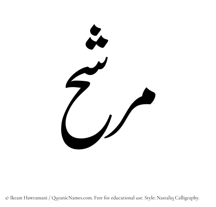 The Muslim name word Murashih written in Nastaliq calligraphic script