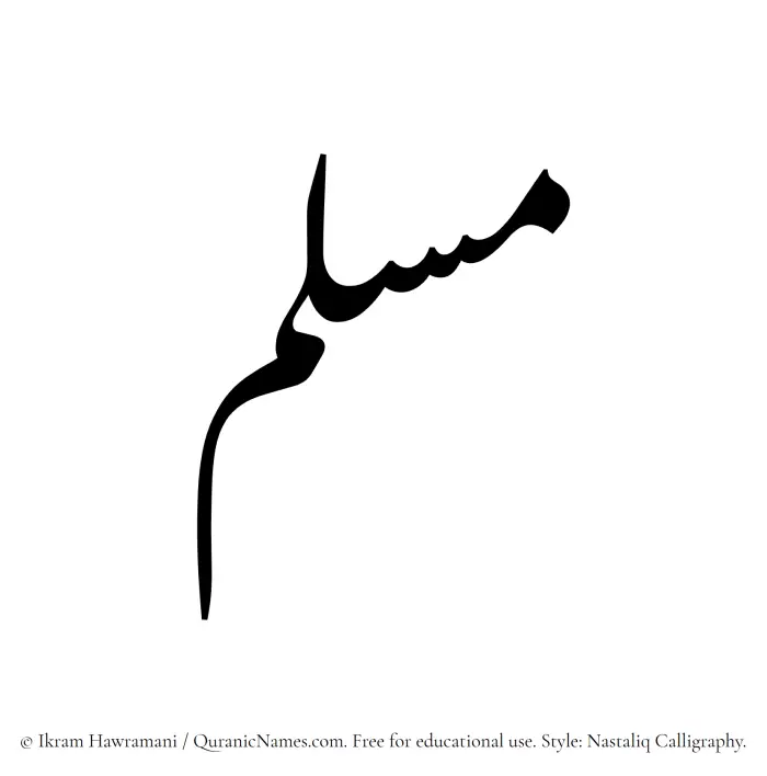 The Muslim name word Musallim written in Nastaliq calligraphic script