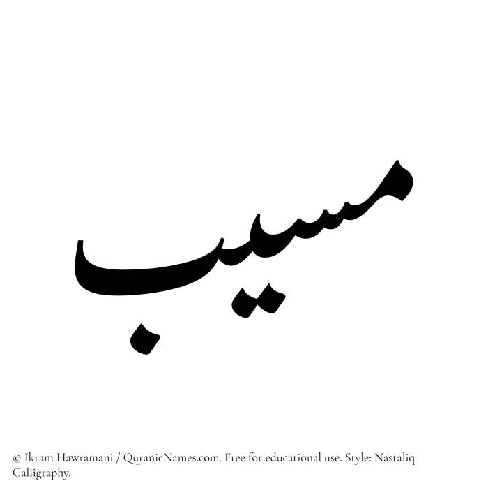 The Muslim name word Musayyab written in Nastaliq calligraphic script