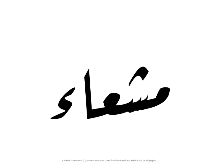 The Muslim name Mushaa written in Ruqaa calligraphic script