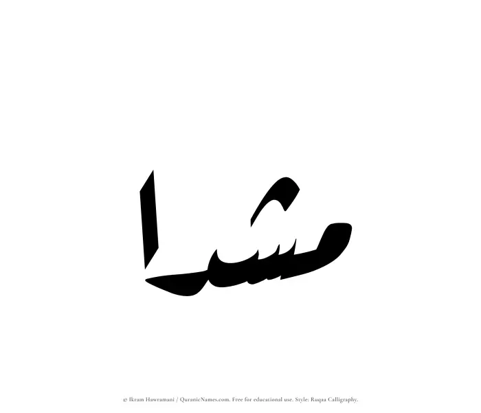 The Muslim name Mushadaa written in Ruqaa calligraphic script