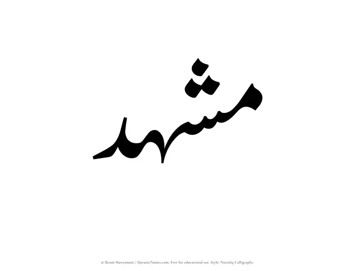 The Muslim name word Mushhid written in Nastaliq calligraphic script