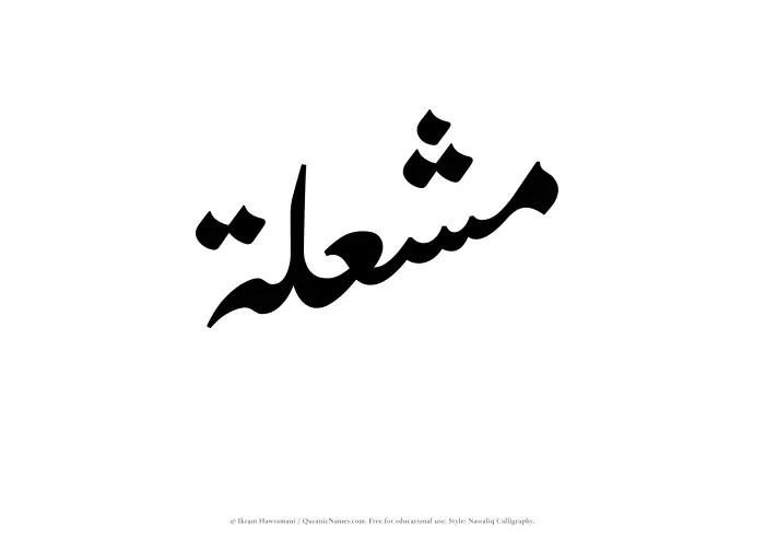 The Muslim name word Mushilah written in Nastaliq calligraphic script