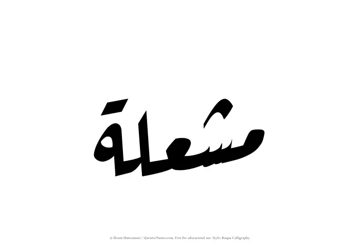 The Muslim name Mushilah written in Ruqaa calligraphic script