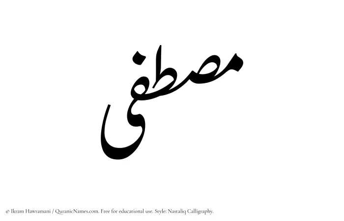 The Muslim name word Mustafa written in Nastaliq calligraphic script