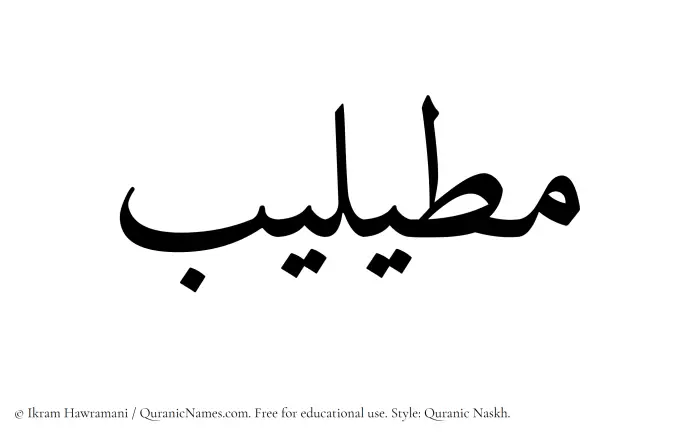The Muslim name Mutailib written in Quranic naskh script