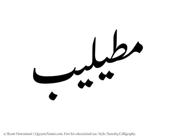 The Muslim name word Mutailib written in Nastaliq calligraphic script