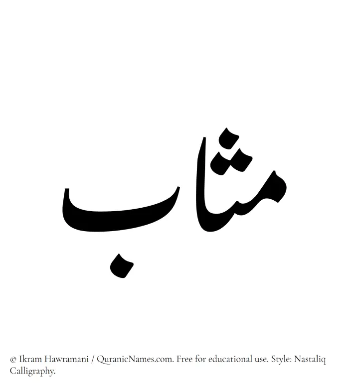 The Muslim name word Muthab written in Nastaliq calligraphic script