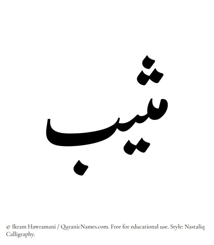 The Muslim name word Muthib written in Nastaliq calligraphic script