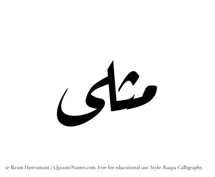 The Muslim name Muthlaa written in Ruqaa calligraphic script