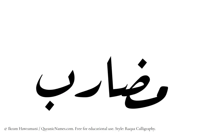 The Muslim name Muzarib written in Ruqaa calligraphic script