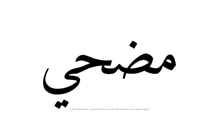 The Muslim name Muzhi written in Quranic naskh script