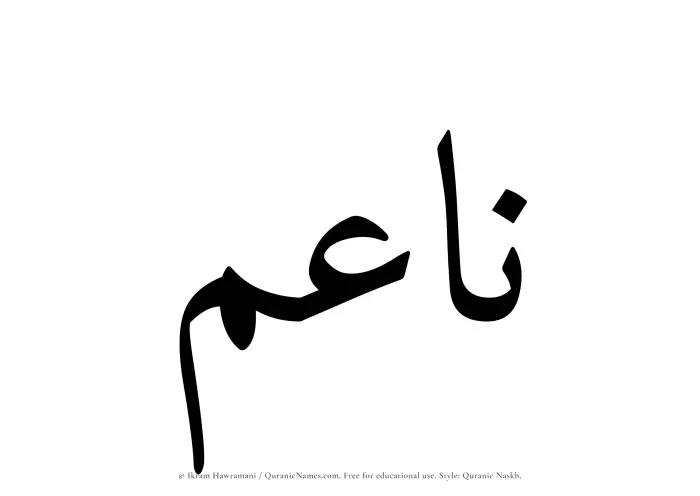 The Muslim name Naaim written in Quranic naskh script