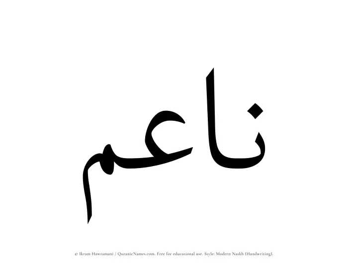 The Muslim name Naaim written in naskh script