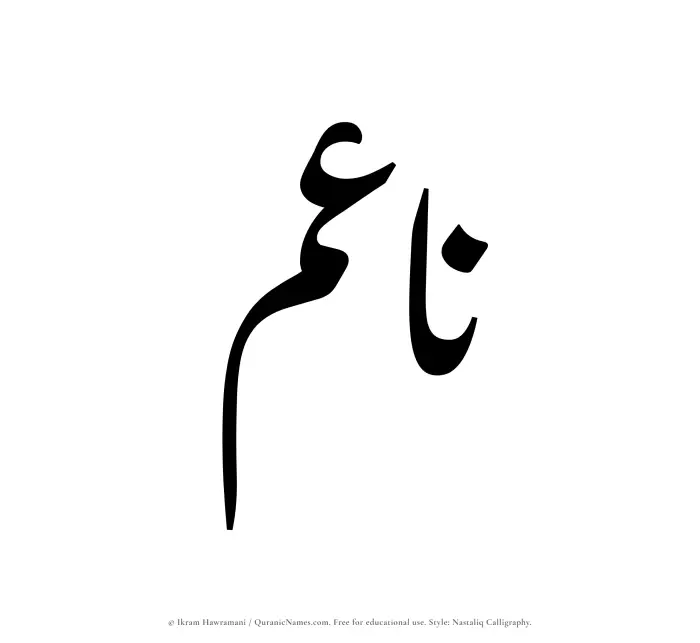 The Muslim name word Naaim written in Nastaliq calligraphic script