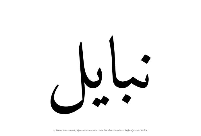 The Muslim name Nabayil written in Quranic naskh script