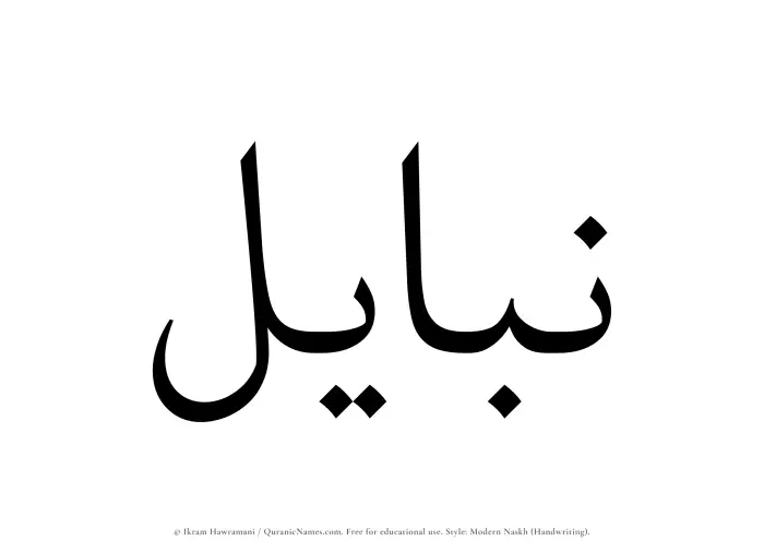 The Muslim name Nabayil written in naskh script