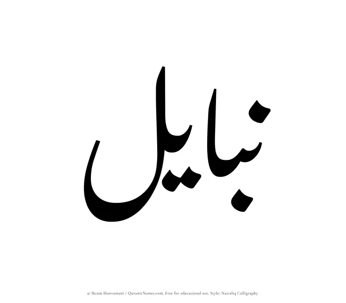 The Muslim name word Nabayil written in Nastaliq calligraphic script