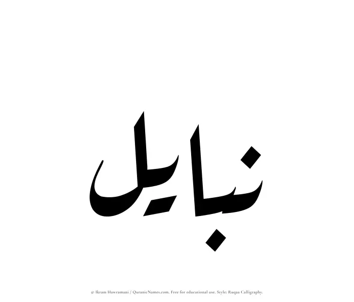 The Muslim name Nabayil written in Ruqaa calligraphic script