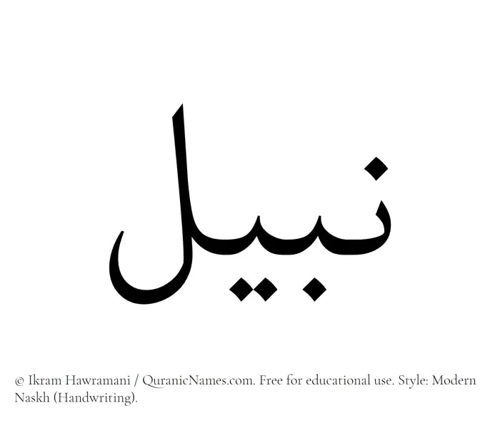 The Muslim name Nabeel written in naskh script