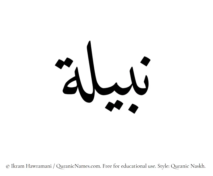 The Muslim name Nabeela written in Quranic naskh script