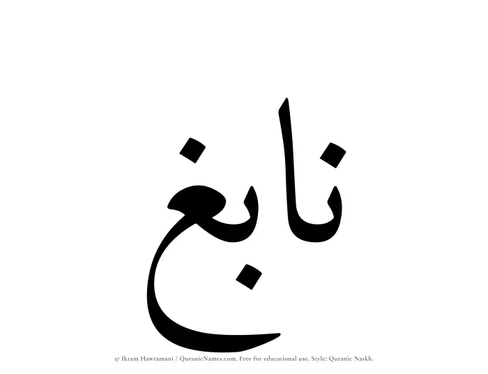 The Muslim name Nabigh written in Quranic naskh script