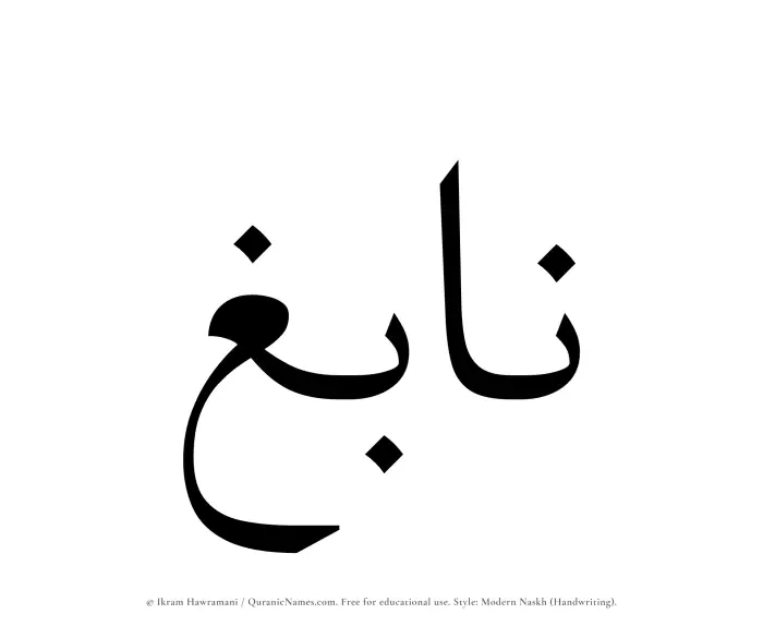 The Muslim name Nabigh written in naskh script