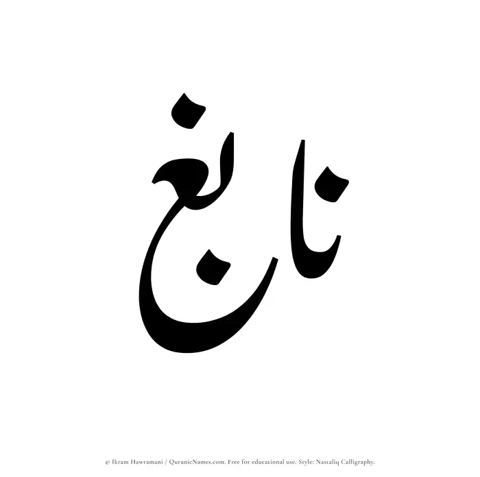 The Muslim name word Nabigh written in Nastaliq calligraphic script