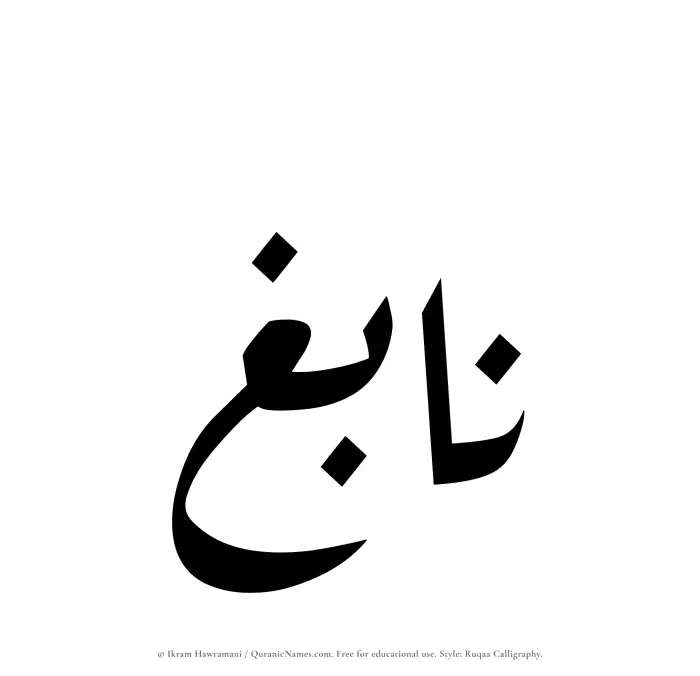 The Muslim name Nabigh written in Ruqaa calligraphic script