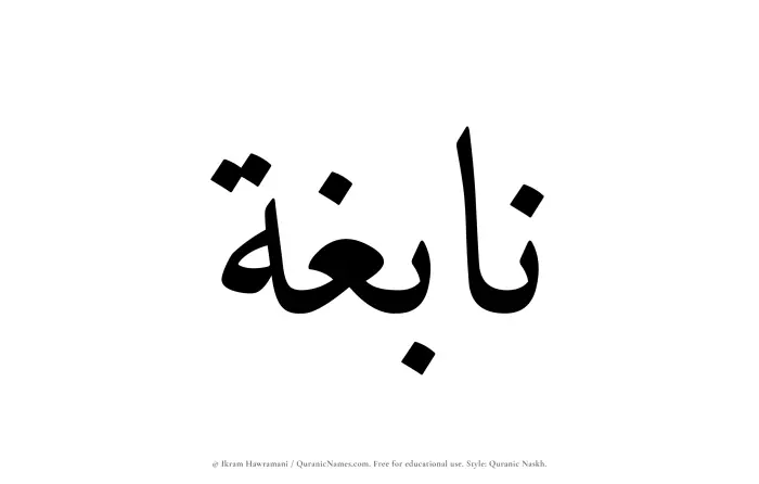 The Muslim name Nabighah written in Quranic naskh script