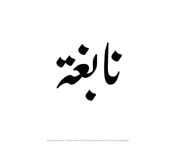 The Muslim name word Nabighah written in Nastaliq calligraphic script