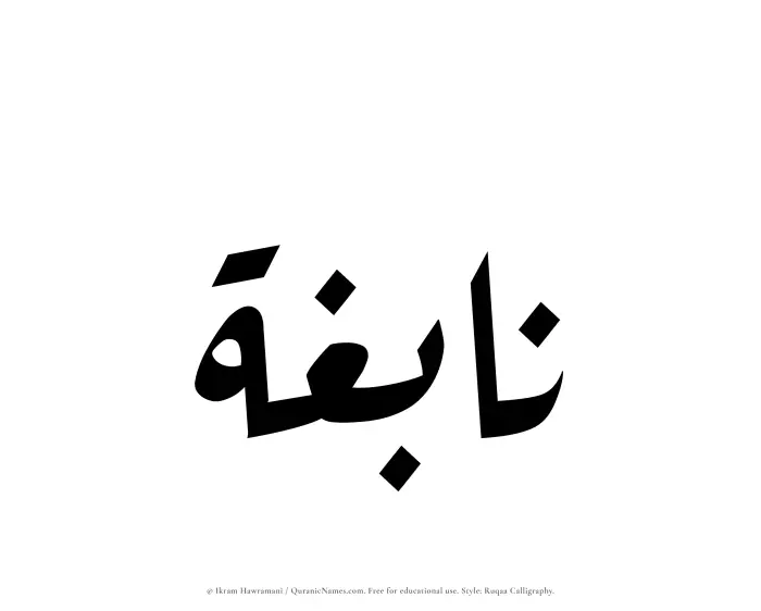 The Muslim name Nabighah written in Ruqaa calligraphic script