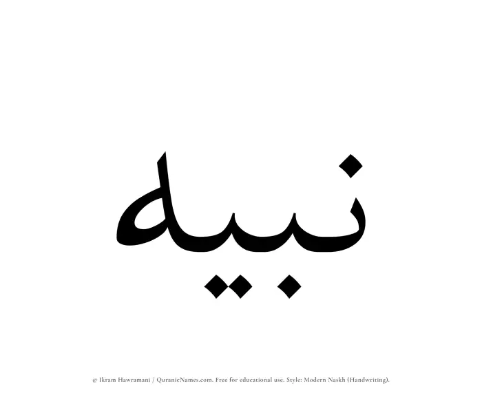 The Muslim name Nabih written in naskh script