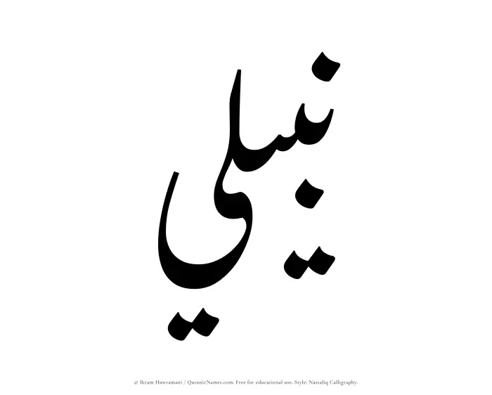The Muslim name word Nabili written in Nastaliq calligraphic script