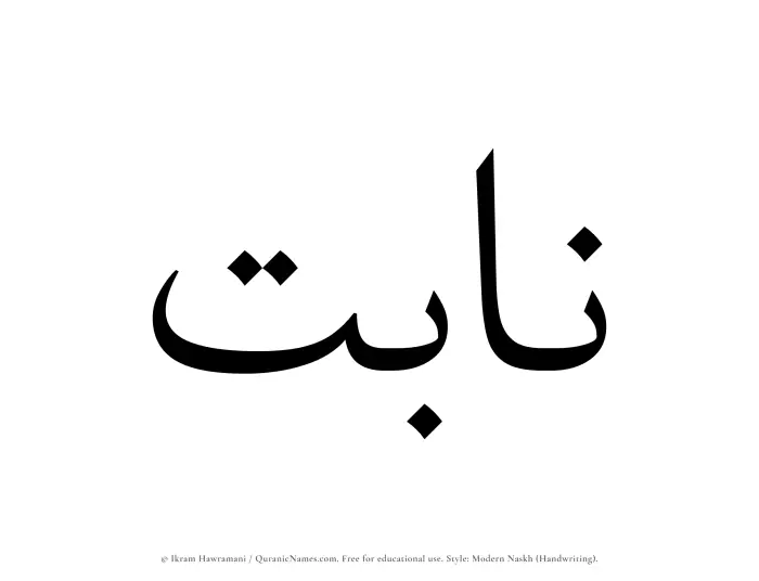 The Muslim name Nabit written in naskh script