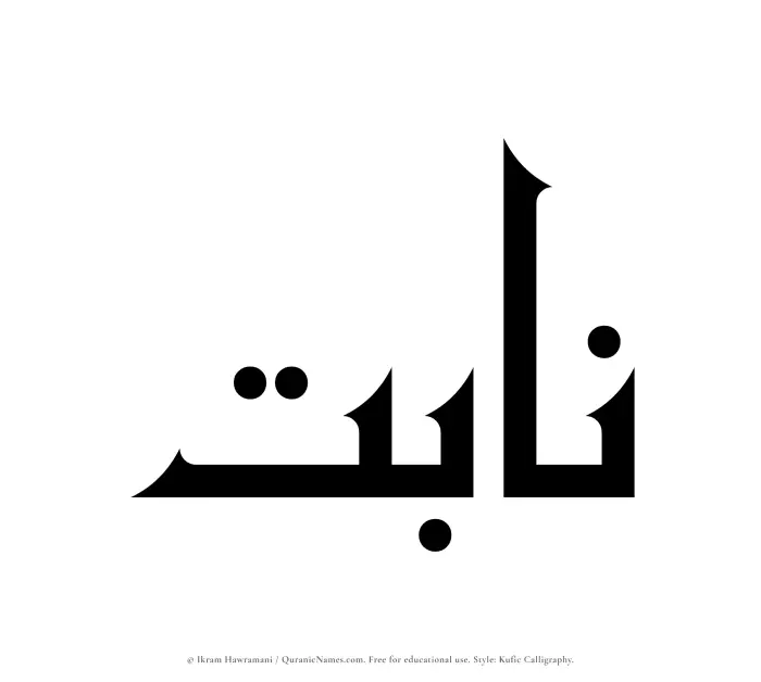 The Muslim name Nabit written in Kufi/Kufic calligraphic script